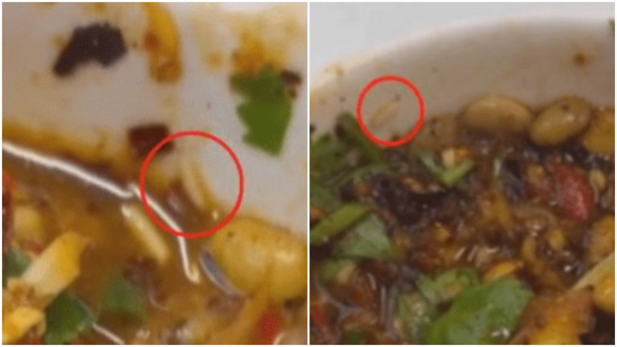 火鍋店のタレ皿の中でうごめくウジ虫　店主の言い訳は「これはタンパク質」＝中国