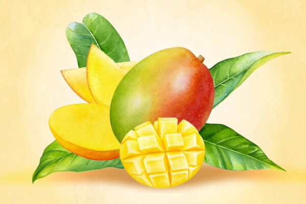 マンゴー：腸と脳をサポート――吸収を高める食べ方