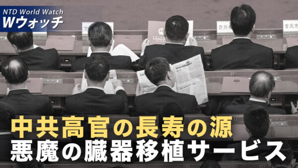プーチンと習近平の臓器移植発言で 高官の延命プロジェクトに再注目/スタンフォード大学の大学院生「中共工作員にスパイ誘われた」と告発  など｜NTD ワールドウォッチ（2025年09月08日）