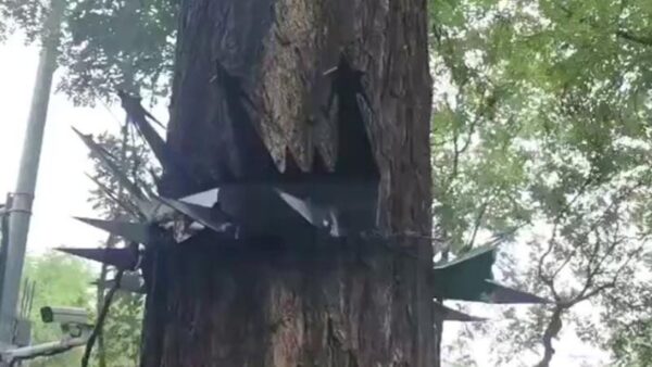 狙撃手対策か？　樹木にも有刺鉄線を巻く臆病ぶり　軍事パレードで異常な警備体制＝北京【動画あり】