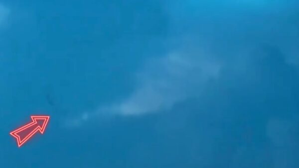 竜また出た？　中国・福建省の空に謎の黒影【動画あり】