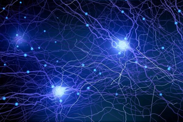 加齢に伴う認知機能低下を防ぐ最適な時期とその方法