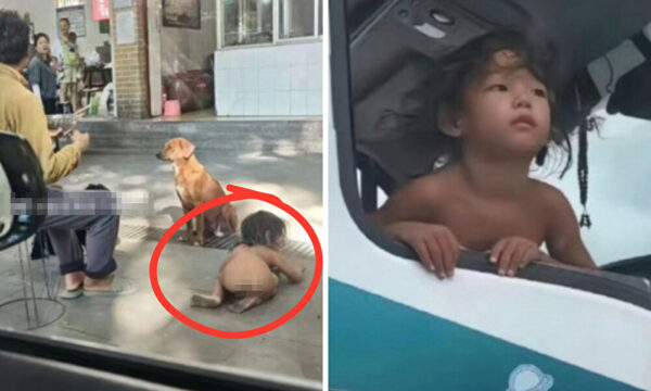 雲南の犬化児童　人間性を奪われた子を金に換える「人間商売」の闇【動画あり】