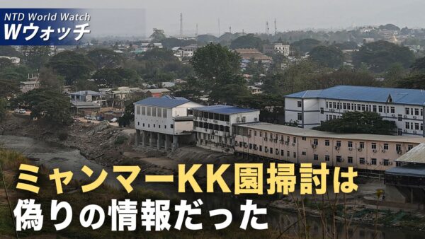 ミャンマーKK園「掃討」発表は偽装？ 被害者が語る「生き地獄」/サイバーセキュリティ顧問「TikTokはすでに犯罪組織に利用されてる」 など｜NTD ワールドウォッチ（2025年11月05日）