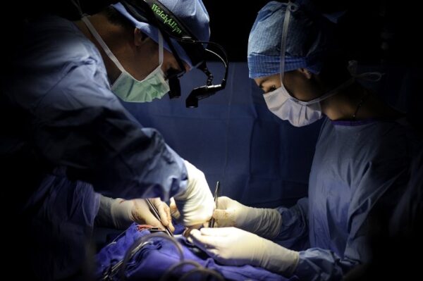 中国臓器移植研究論文　国際出版社が8本撤回　倫理違反問題で