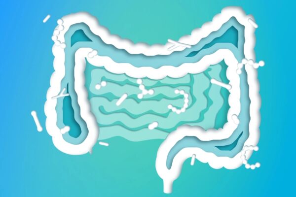 腸内細菌はどのように食欲と体重に影響するのか