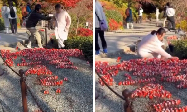 中国人観光客が勝尾寺の達磨アートを破壊　願いを踏みにじる行為が波紋【動画あり】