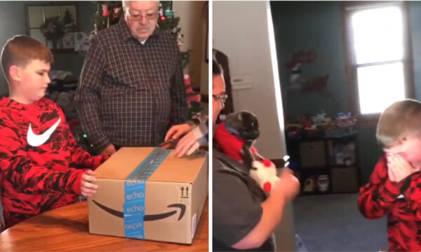 忘れられないクリスマスの贈り物【動画あり】