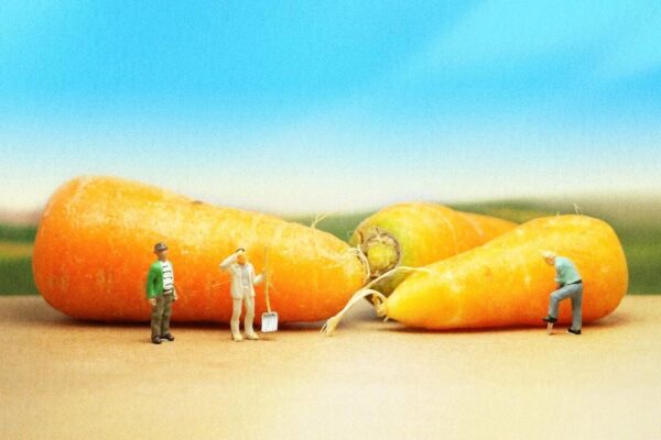 内なる強さを育てる　昔ながらの7つの習慣