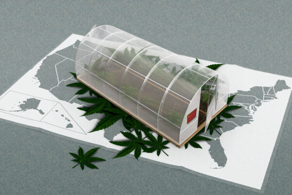 中国共産党とつながりを持つ中国系シンジケートはいかにして米国のマリファナ闇市場を掌握したのか