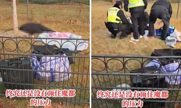 都市の静寂に消えた命　上海