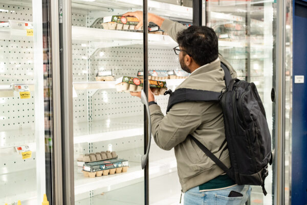 ブラジル鶏卵輸出が過去最高　卵不足と日本市場拡大で急増