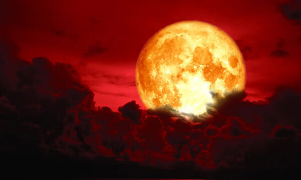 「赤馬紅羊」古い言い伝えが再び　