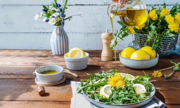 抗がん作用も？　身近なタンポポの驚くべき力