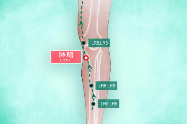 膝関（しつかん）：膝を強くするための古くからの知恵