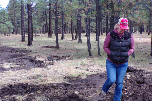 アリゾナの野生馬を殺しているのは誰か？