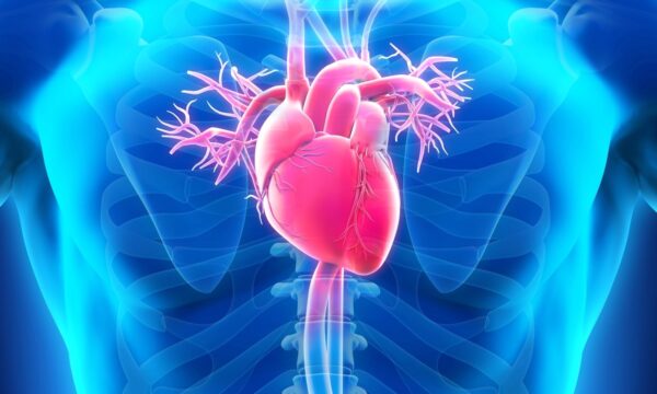 口内の細菌が心臓リスクを引き起こす可能性も