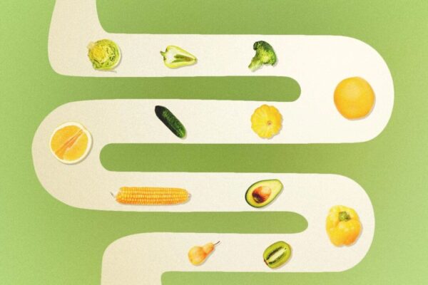 健康食品が効くかどうかは腸内細菌次第？