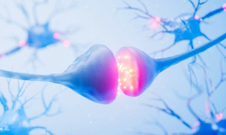 ドーパミン過多の世界で喜びを感じる方法