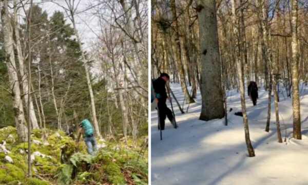 中国「走線」急増　雪山越えでドイツへ