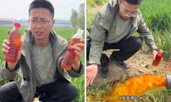 中国の麦畑で地下水が赤く変色　農家が怖くて食べられない小麦が市場へ