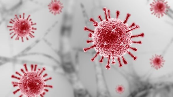 新型コロナ変異株BA.3.2を23か国で確認　科学界が注視