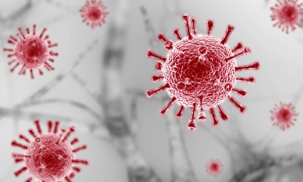 新型コロナ変異株BA.3.2を23か国で確認　科学界が注視