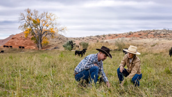 【独占】農薬・化学肥料から距離を置き　伝統と再生を探るアメリカの牧場主