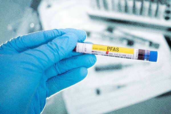 身近な化学物質が体の老化に影響する？
