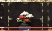 世界遺産・日光東照宮で「第4回日本宝樹展（春季）」開催　盆栽を通じ生命と平和を学ぶ
