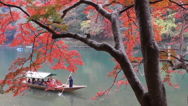 中国人客減少でも消費額は過去最高　日本観光に進むリスク分散