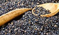黒ごま：年齢を重ねる体を支える滋養食