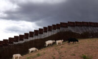 過去最高水準のフェンタニル押収　＝アメリカ税関・国境警備局　