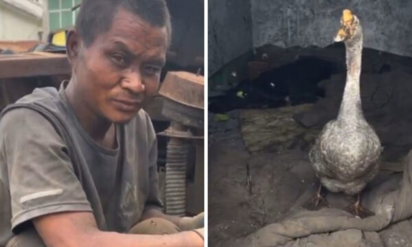 中国でまた見つかった「現代の奴隷」　今回も「行政は知っていた」