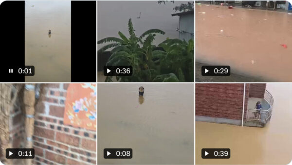 中国・広西洪水でヘビ900匹流出　コブラ懸念　1人死亡