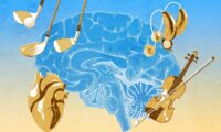 中年期の脳はまだ変えられる　認知低下を防ぐ4つの習慣