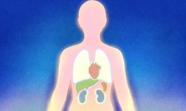 健康に直接影響を与える5つの徳