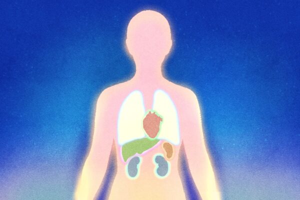 健康に直接影響を与える5つの徳