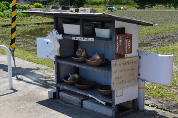 錆びた鉄の箱が語る「信」