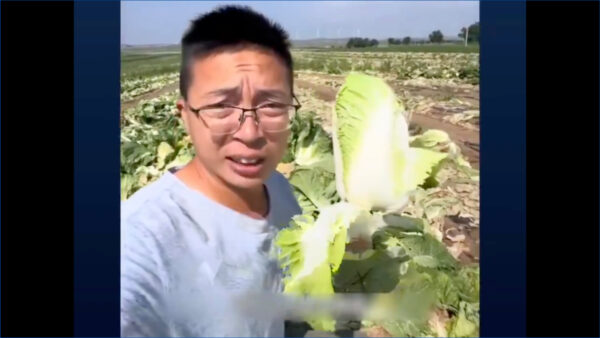 ﻿「報復は怖い」　中国のホルムアルデヒド白菜を追った告発者