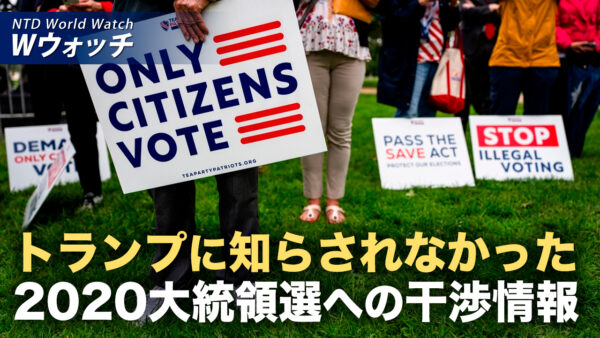18：00 プレミア公開 |米情報機関 選挙干渉情報を隠蔽か トランプ氏にも報告せず など｜NTD ワールドウォッチ（2026年08月19日）