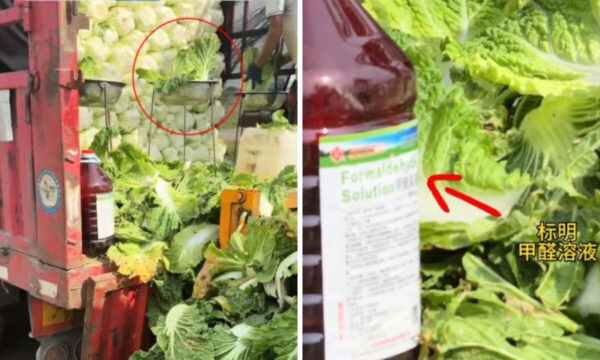 白菜を「ホルマリン漬け」　食品不正のたびに問われる「良心」