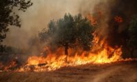 欧州の山火事　東部で深刻化　米加でも大規模火災　住民が緊急避難