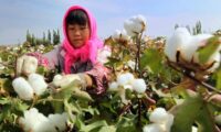 米国　中国企業43社を輸入禁止リストに追加　強制労働対策を強化