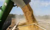 中国が米国産大豆約49万トンを購入　9月の米中首脳会談を前に輸入拡大か