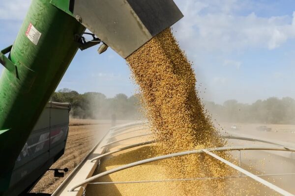 中国が米国産大豆約49万トンを購入　9月の米中首脳会談を前に輸入拡大か
