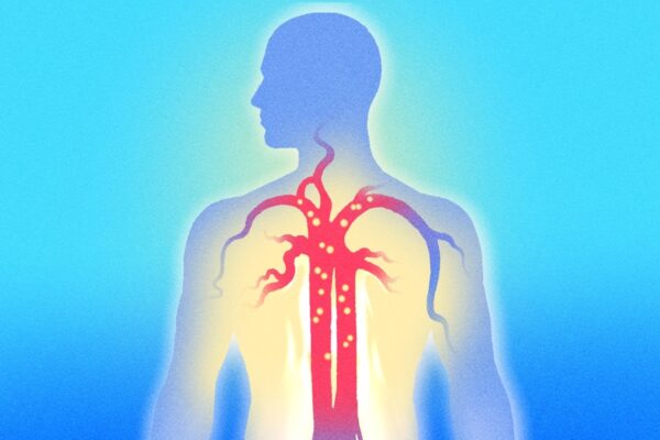 血液は栄養以上のものを運ぶ