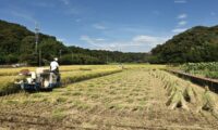 コメ農家の休廃業・倒産　1～8月で32件　米価上昇でも撤退続く