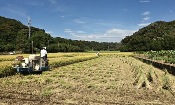 コメ農家の休廃業・倒産　1～8月で32件　米価上昇でも撤退続く
