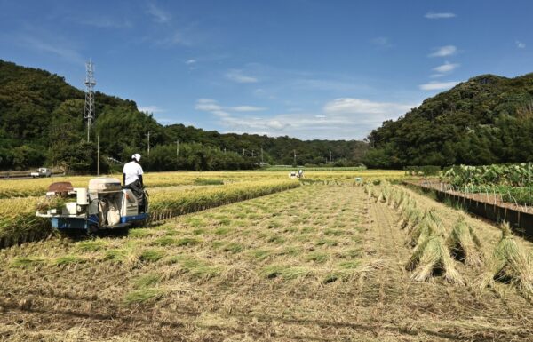 コメ農家の休廃業・倒産　1～8月で32件　米価上昇でも撤退続く